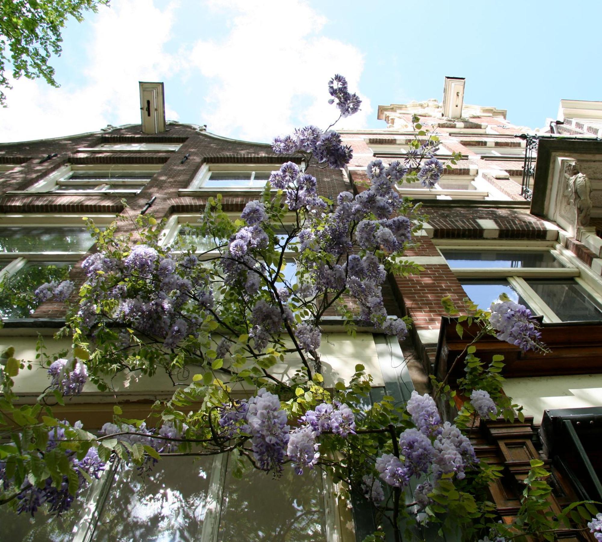 Casa Luna Bed & Breakfast Amsterdam Exterior photo